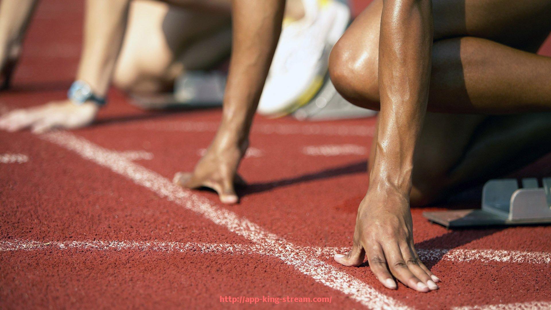 王者体育直播-了解健身器材的渠道及信息获取途径介绍